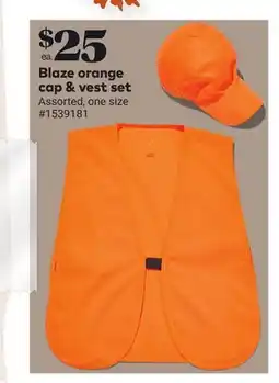 Giant Tiger Blaze orange cap & vest set offer