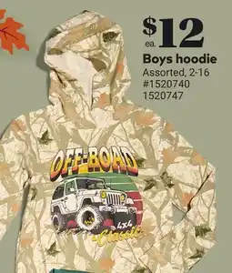 Giant Tiger Boys hoodie offer