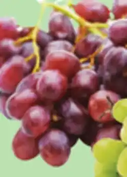 Giant Tiger 500 g red seedless grapes offer