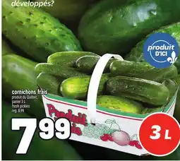 Metro CORNICHONS FRAIS | FRESH PICKLES offer