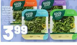 Metro MÉLANGE DE LAITUE LES FERMES GOOD LEAF | LES FERMES GOOD LEAF LETTUCE MIX offer