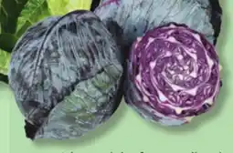 IGA RED OR GREEN CABBAGE offer