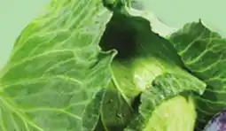 IGA GREEN CABBAGE offer