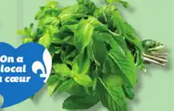 IGA CORIANDRE, MENTHE, ANETH OU PERSIL FRISÉ FRAIS offer