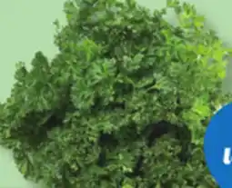IGA FRESH CORIANDER, DILL, MINT OR CURLY PARSLEY offer