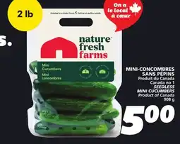 IGA SEEDLESS MINI CUCUMBERS offer