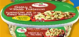 IGA SALADE BRUSCHETTA offer