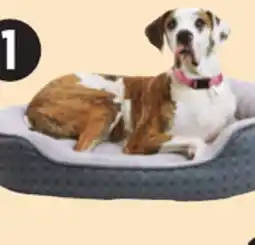 Canadian Tire Petco Washable Plush Dog offer