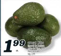 Marché Richelieu AVOCAT HASS | HASS AVOCADO offer