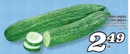 Marché Richelieu CONCOMBRE ANGLAIS SANS PÉPINS | SEEDLESS ENGLISH CUCUMBER offer