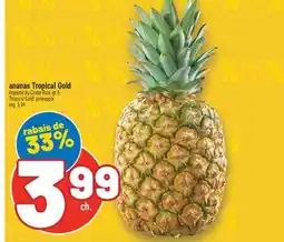 Marché Richelieu ANANAS TROPICAL GOLD | TROPICAL GOLD PINEAPPLE offer