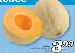 Marché Richelieu CANTALOUP | CANTALOUPE offer