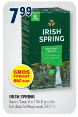 Familiprix IRISH SPRING, Soap, 6 x 104,8 g offer