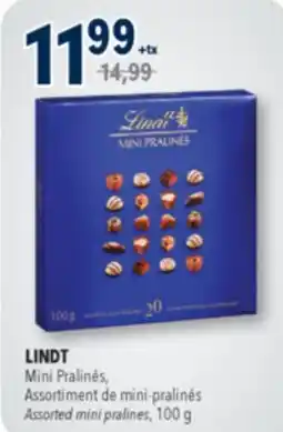 Familiprix LINDT, Swiss Classic, Chocolate, 100 g offer