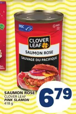 Marché Bonichoix CLOVER LEAF PINK SLAMON offer