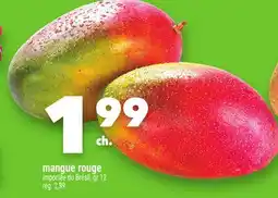 Marche Ami MANGUE ROUGE offer