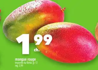 Marche Ami MANGUE ROUGE offer