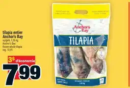 Super C tilapia entier Anchor's Bay | Anchor's Bay frozen whole tilapia offer