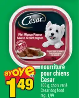 Super C NOURRITURE POUR CHIENS CESAR | CESAR DOG FOOD offer