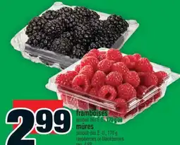 Super C FRAMBOISES OU MÛRES | RASPBERRIES OR BLACKBERRIES offer