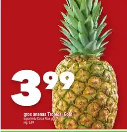Marche Ami Gros ananas Tropical Gold offer