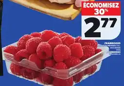 Provigo RASPBERRIES, 170 G offer
