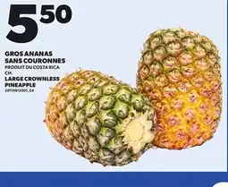 Provigo LARGE CROWNLESS PINEAPPLE offer