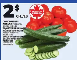 Provigo ENGLISH CUCUMBERS OR VINE RIPE FIELD TOMATOES offer