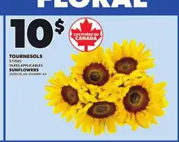 Provigo SUNFLOWERS, 5 TIGES offer