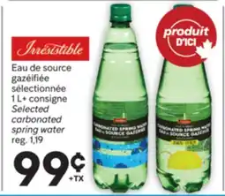 Brunet IRRESISTIBLE Eau de source gazéifiée sélectionnée offer