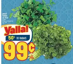 Marché Adonis Persil italien ou frisé | Italian or curly parsley offer