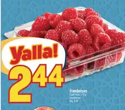 Marché Adonis Framboises | Raspberries offer