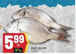 Marché Adonis Daurade grise jumbo | Jumbo grey sea bream offer