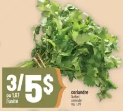 Marché Adonis Coriandre | Coriander offer