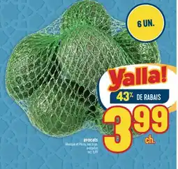 Marché Adonis AVOCATS | AVOCADOS offer
