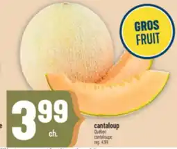 Marché Adonis CANTALOUP | CANTALOUPE offer