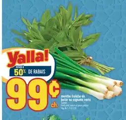 Marché Adonis MENTHE FRAÎCHE EN BOTTE OU OIGNONS VERTS | FRESH MINT BUNCH OR GREEN ONIONS offer