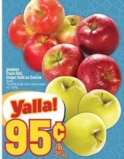 Marché Adonis POMMES PAULA RED, GINGER GOLD OU SUNRISE | PAULA RED, GINGER GOLD OR SUNRISE APPLES offer