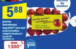 Maxi POMMES NATURELLEMENT IMPARFAITS SANS NOM , SAC DE 6 LB offer