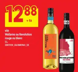 Maxi VIN WALLAROO OU REVOLUTION offer