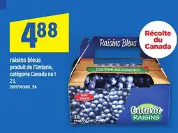 Maxi RAISINS BLEUS, 2 L offer