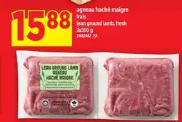 Maxi AGNEAU HACHÉ MAIGRE FRAIS | LEAN GROUND LAMB, FRESH, 2X350 G offer
