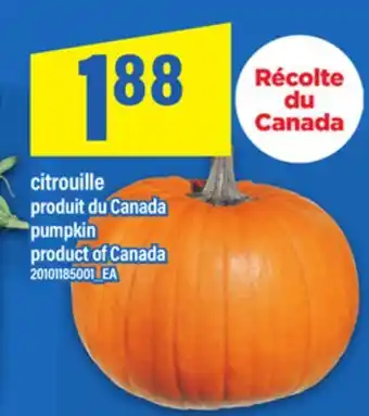 Maxi CITROUILLE | PUMPKIN offer