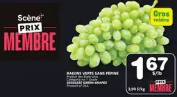Marches Tradition SEEDLESS GREEN GRAPES offer
