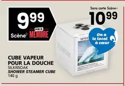 Rachelle-Bery Grocery SILKNSOAK SHOWER STEAMER CUBE offer