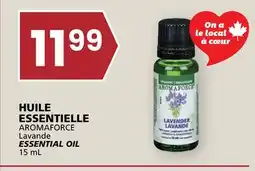 Rachelle-Bery Grocery AROMAFORCE Lavande ESSENTIAL OIL offer