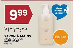 Rachelle-Bery Grocery 3 FOIS PAR JOUR HAND SOAP offer