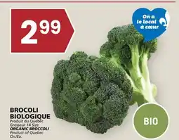 Rachelle-Bery Grocery ORGANIC BROCCOLI offer