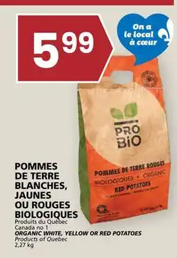 Rachelle-Bery Grocery ORGANIC WHITE, YELLOW OR RED POTATOES offer