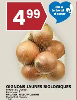 Rachelle-Bery Grocery ORGANIC YELLOW ONIONS offer